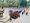 ảnh 4.1.jpg - 
