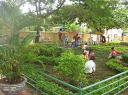 New_IMG_0451 - 
