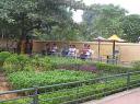 New_IMG_0677 - 