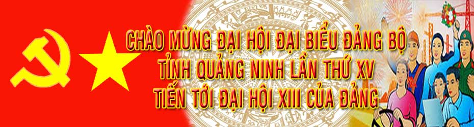 DHDB-QN-XV.jpg
