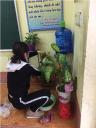 ảnh 15.jpg - 