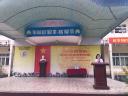 hạnh 2.jpg - 
