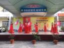 vn 9b.jpg - 